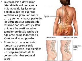 • La escoliosis o desviación
lateral de la columna, es la
más grave de las lesiones
debido a que los cuerpos
vertebrales giran uno sobre
otro y como la mayor parte de
las vértebras susceptibles de
rotación son dorsales y están
unidas a las costillas estas
también se desplazan hacia
adelante en un lado y hacia
atrás en el lado opuesto.
• El aumento de la lordosis
lumbar se observa en la
espondilolistesis, que significa
un desplazamiento de la
columna lumbar sobre el
sacro.
 