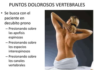 PUNTOS DOLOROSOS VERTEBRALES
• Se busca con el
paciente en
decubito prono
– Presionando sobre
las apofisis
espinozas
– Presionando sobre
los espacios
interespinosos
– Presionando sobre
los canales
vertebrales
 