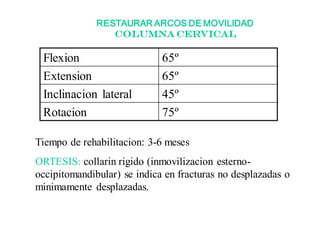 RESTAURAR ARCOS DE MOVILIDAD
columna cervical
Flexion 65º
Extension 65º
Inclinacion lateral 45º
Rotacion 75º
Tiempo de rehabilitacion: 3-6 meses
ORTESIS: collarin rigido (inmovilizacion esterno-
occipitomandibular) se indica en fracturas no desplazadas o
minimamente desplazadas.
 