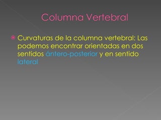 Curvaturas de la columna vertebral: Las podemos encontrar orientadas en dos sentidos  ántero-posterior  y en sentido  lateral 