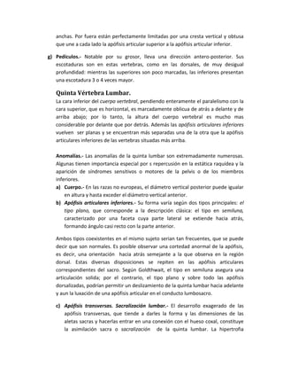 anchas. Por fuera están perfectamente limitadas por una cresta vertical y obtusa
que une a cada lado la apófisis articular superior a la apófisis articular inferior.
g) Pedículos.- Notable por su grosor, lleva una dirección antero-posterior. Sus
escotaduras son en estas vertebras, como en las dorsales, de muy desigual
profundidad: mientras las superiores son poco marcadas, las inferiores presentan
una escotadura 3 o 4 veces mayor.
Quinta Vértebra Lumbar.
La cara inferior del cuerpo vertebral, pendiendo enteramente el paralelismo con la
cara superior, que es horizontal, es marcadamente oblicua de atrás a delante y de
arriba abajo; por lo tanto, la altura del cuerpo vertebral es mucho mas
considerable por delante que por detrás. Además las apófisis articulares inferiores
vuelven ser planas y se encuentran más separadas una de la otra que la apófisis
articulares inferiores de las vertebras situadas más arriba.
Anomalías.- Las anomalías de la quinta lumbar son extremadamente numerosas.
Algunas tienen importancia especial por s repercusión en la estática raquídea y la
aparición de síndromes sensitivos o motores de la pelvis o de los miembros
inferiores.
a) Cuerpo.- En las razas no europeas, el diámetro vertical posterior puede igualar
en altura y hasta exceder el diámetro vertical anterior.
b) Apófisis articulares inferiores.- Su forma varía según dos tipos principales: el
tipo plano, que corresponde a la descripción clásica: el tipo en semiluna,
caracterizado por una faceta cuya parte lateral se extiende hacia atrás,
formando ángulo casi recto con la parte anterior.
Ambos tipos coexistentes en el mismo sujeto serian tan frecuentes, que se puede
decir que son normales. Es posible observar una cortedad anormal de la apófisis,
es decir, una orientación hacia atrás semejante a la que observa en la región
dorsal. Estas diversas disposiciones se repiten en las apófisis articulares
correspondientes del sacro. Según Goldthwait, el tipo en semiluna asegura una
articulación solida; por el contrario, el tipo plano y sobre todo las apófisis
dorsalizadas, podrían permitir un deslizamiento de la quinta lumbar hacia adelante
y aun la luxación de una apófisis articular en el conducto lumbosacro.
c) Apófisis transversas. Sacralización lumbar.- El desarrollo exagerado de las
apófisis transversas, que tiende a darles la forma y las dimensiones de las
aletas sacras y hacerlas entrar en una conexión con el hueso coxal, constituye
la asimilación sacra o sacralización de la quinta lumbar. La hipertrofia
 