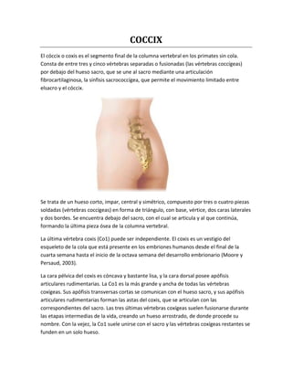 COCCIX
El cóccix o coxis es el segmento final de la columna vertebral en los primates sin cola.
Consta de entre tres y cinco vértebras separadas o fusionadas (las vértebras coccígeas)
por debajo del hueso sacro, que se une al sacro mediante una articulación
fibrocartilaginosa, la sínfisis sacrococcígea, que permite el movimiento limitado entre
elsacro y el cóccix.
Se trata de un hueso corto, impar, central y simétrico, compuesto por tres o cuatro piezas
soldadas (vértebras coccígeas) en forma de triángulo, con base, vértice, dos caras laterales
y dos bordes. Se encuentra debajo del sacro, con el cual se articula y al que continúa,
formando la última pieza ósea de la columna vertebral.
La última vértebra coxis (Co1) puede ser independiente. El coxis es un vestigio del
esqueleto de la cola que está presente en los embriones humanos desde el final de la
cuarta semana hasta el inicio de la octava semana del desarrollo embrionario (Moore y
Persaud, 2003).
La cara pélvica del coxis es cóncava y bastante lisa, y la cara dorsal posee apófisis
articulares rudimentarias. La Co1 es la más grande y ancha de todas las vértebras
coxígeas. Sus apófisis transversas cortas se comunican con el hueso sacro, y sus apófisis
articulares rudimentarias forman las astas del coxis, que se articulan con las
correspondientes del sacro. Las tres últimas vértebras coxígeas suelen fusionarse durante
las etapas intermedias de la vida, creando un hueso arrostrado, de donde procede su
nombre. Con la vejez, la Co1 suele unirse con el sacro y las vértebras coxígeas restantes se
funden en un solo hueso.
 