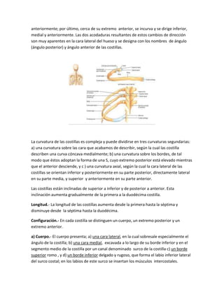anteriormente; por último, cerca de su extremo anterior, se incurva y se dirige inferior,
medial y anteriormente. Las dos acodaduras resultantes de estos cambios de dirección
son muy aparentes en la cara lateral del hueso y se designa con los nombres de ángulo
(ángulo posterior) y ángulo anterior de las costillas.
La curvatura de las costillas es compleja y puede dividirse en tres curvaturas segundarias:
a) una curvatura sobre las cara que acabamos de describir, según la cual las costilla
describen una curva cóncava medialmente; b) una curvatura sobre los bordes, de tal
modo que éstos adoptan la forma de una S, cuyo extremo posterior está elevado mientras
que el anterior desciende, y c ) una curvatura axial, según la cual la cara lateral de las
costillas se orientan inferior y posteriormente en su parte posterior, directamente lateral
en su parte media, y superior y anteriormente en su parte anterior.
Las costillas están inclinadas de superior a inferior y de posterior a anterior. Esta
inclinación aumenta gradualmente de la primera a la duodécima costilla.
Longitud.- La longitud de las costillas aumenta desde la primera hasta la séptima y
disminuye desde la séptima hasta la duodécima.
Configuración.- En cada costilla se distinguen un cuerpo, un extremo posterior y un
extremo anterior.
a) Cuerpo.- El cuerpo presenta; a) una cara lateral, en la cual sobresale especialmente el
ángulo de la costilla; b) una cara medial, excavada a lo largo de su borde inferior y en el
segmento medio de la costilla por un canal denominado surco de la costilla c) un borde
superior romo , y d) un borde inferior delgado y rugoso, que forma el labio inferior lateral
del surco costal; en los labios de este surco se insertan los músculos intercostales.
 