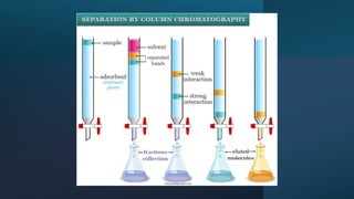 all about column Chromatography .....pptx