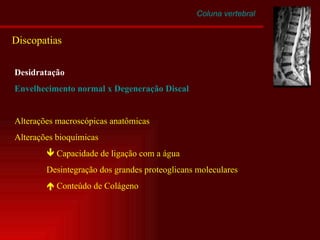 Desidratação Envelhecimento normal x Degeneração Discal Alterações macroscópicas anatômicas Alterações bioquímicas    Capacidade de ligação com a água Desintegração dos grandes proteoglicans moleculares    Conteúdo de Colágeno Coluna vertebral Discopatias 