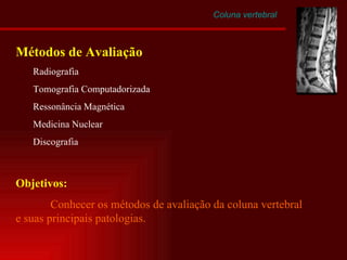 Coluna vertebral Métodos de Avaliação Radiografia Tomografia Computadorizada Ressonância Magnética Medicina Nuclear Discografia Objetivos: Conhecer os métodos de avaliação da coluna vertebral e suas principais patologias. 