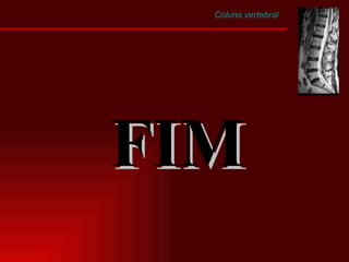 Coluna vertebral FIM 