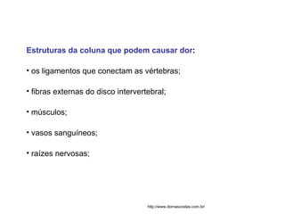 Estruturas da coluna que podem causar dor : os ligamentos que conectam as vértebras; fibras externas do disco intervertebral;  músculos; vasos sanguíneos;  raízes nervosas; http://www.dornascostas.com.br/ 