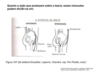Figura 107 ( de balland-Grozellier, Lapierre, Charrére, rep. Por Pivetta, mod.) Tratado de Exercícios Corretivos – Aplicados a Reeducação Motora Postural- FRANCESCO TRIBASTONE - 2002 Quanto a ação que produzem sobre a bacia, esses músculos podem dividir-se em: 