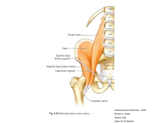 Anatomia para Estudantes – 2005 Richard L. Drake Wayne Volg Adam W. M. Mitchell 
