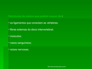 Estruturas da coluna que podem causar dor : os ligamentos que conectam as vértebras; fibras externas do disco intervertebral;  músculos; vasos sanguíneos;  raízes nervosas; http://www.dornascostas.com.br/ 