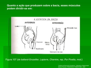Figura 107 ( de balland-Grozellier, Lapierre, Charrére, rep. Por Pivetta, mod.) Tratado de Exercícios Corretivos – Aplicados a Reeducação Motora Postural- FRANCESCO TRIBASTONE - 2002 Quanto a ação que produzem sobre a bacia, esses músculos podem dividir-se em: 