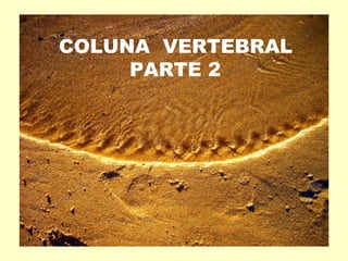 COLUNA VERTEBRAL
     PARTE 2
 