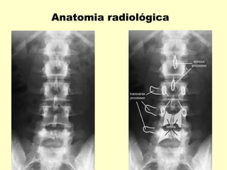 Anatomia radiológica
 