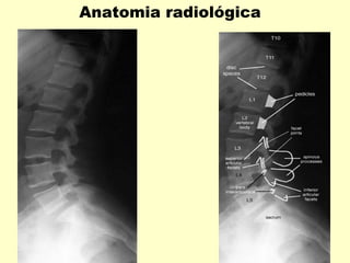 Anatomia radiológica
 