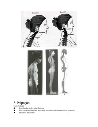5. Palpação
Face Posterior:
       Protuberância Occipital Externa;
       Processos espinhosos e processos articulares das das vértebras cervicais;
       Processo mastóideo.
 