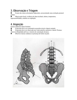 3. Observação e Triagem
          Exame das outras articulações adjacentes, acrescentando uma avaliação postural
global;
       Observação Geral: evidência de dano tecidual, edema, temperatura,
hipersensibilidade, estalido ou crepitação.



4. Inspeção
Postura Global da Coluna Vertebral
        O paciente deve ser examinado na posição em pé e depois sentado;
        O paciente deve ser observado nas vistas anterior, posterior e lateral :Postura:
observar obliqüidade pélvica e simetria de sustentação de peso;
        Observar marcas cutâneas ou presença de lesões na pele.
 