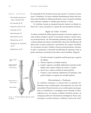         
É constituída de 24 vértebras móveis pré-sacrais (7 cervicais, 12 torá-
cicas e 5 lombares). As cinco vértebras imediatamente abaixo das lom-
bares estão fundidas no adulto para formar o sacro. As quatro vértebras
mais inferiores também se fundem para formar o cóccix.
As vértebras tornam-se progressivamente maiores na direção in-
ferior até o sacro, tornando-se a partir daí sucessivamente menores.
Regiões da Coluna Vertebral
A coluna vertebral do adulto apresenta quatro curvaturas sagitais: cer-
vical, torácica, lombar e sacral. As curvaturas torácica e sacral, conve-
xas posteriormente, são denominadas primárias porque apresentam
a mesma direção da coluna vertebral fetal e decorrem da diferença de
altura entre as partes anteriores e posteriores dos corpos vertebrais.
As curvaturas cervical e lombar, côncavas posteriormente, formam-
se após o nascimento e decorrem da diferença de espessura entre as
partes anteriores e posteriores dos discos intervertebrais. (Figura1)
. Cervical: constitui o esqueleto axial do pescoço e suporte
da cabeça.
. Torácica: suporta a cavidade torácica.
. Lombar: suporta a cavidade abdominal e permite mobi-
lidade entre a parte torácica do tronco e a pelve.
. Sacral: une a coluna vertebral à cintura pélvica.
. Coccigea: é uma estrutura rudimentar em humanos, mas
possui função no suporte do assoalho pélvico.
Desenvolvimento e Ossificação
As vértebras começam a se desenvolver no período em-
brionário como condensações mesenquimais em torno do
notocórdio. Posteriormente, essas condensações mesenqui-
mais se condrificam e a cartilagem assim formada é substi-
tuída por osso. Ao nascer, as últimas vértebras sacrais e as
coccígeas podem ser inteiramente cartilagíneas. Nesse caso,
começam a ossificar durante a infância. Centros de ossifi-
FIGURA 1 – Arranjo anatômico geral da coluna
vertebral.
N E S T E C A P Í T U L O :
• Articulações especiais da
coluna vertebral (CV)
• Os músculos da CV
• Anatomia neural da CV
• Inervação da CV
• Vascularização CV
• Biomecânica da CV
• Movimentos da CV
• Amplitude de movimento
da CV
• Biodinâmica da CV
 