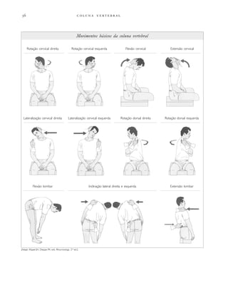         
Rotação cervical direita Rotação cervical esquerda Flexão cervical Extensão cervical
Flexão lombar Inclinação lateral direita e esquerda Extensão lombar
Lateralização cervical direita Rotação dorsal direitaLateralização cervical esquerda Rotação dorsal esquerda
Movimentos básicos da coluna vertebral
[Adapt. Klippel JH, Dieppe PA, eds. Rheumatology, 2nd
ed.]
 