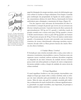         
papel de dissipação da energia mecânica, através de deformações que
estes sofrem ao receber as forças solicitantes. Essa função é exercida
pela combinação das propriedades de líquido do núcleo pulposo e
das características elásticas do ânulo fibroso, funcionando de forma
ambivalente para a dissipação e transmissão de forças. (Figura 12)
Um dos aspectos mais relevantes da biomecânica do disco in-
tervertebral é a variação de pressão que ocorre em sua estrutura nas
diversas variações posturais. A pressão interna do disco aumenta de
aproximadamente 100 kg em L3, quando o indivíduo muda da
posição sentada com o tronco ereto para 150 kg, quando o tronco
é fletido anteriormente e eleva-se para 220 kg quando um homem
de 70 kg levanta um peso de 50 kg. O risco de injúria é ainda maior
quando o levantamento de peso está associado com movimentos
rotatórios do tronco, determinando sobrecarga mecânica excessi-
vamente elevada sobre as fibras póstero-laterais dos ânulos fibro-
sos dos discos lombares.
A Unidade Motora Vertebral
É formada por uma vértebra montada sobre a outra, como todos os
elementos constituintes intermediários e anexos. Funciona como um
segmento motor vertebral, embora nenhuma desordem congênita
ou adquirida de um único elemento da unidade motora vertebral
possa existir sem afetar primeiro as funções de outros componentes
da mesma unidade e então, a função de unidades de outros níveis da
coluna vertebral.
O Canal Raquidiano
O canal raquidiano localiza-se em uma posição intermediária com
relação às forças que atuam sobre a coluna vertebral, onde os esfor-
ços são mais reduzidos pela proximidade de um plano de forças
neutro. Além do mais, seja qual for a posição assumida pelo indiví-
duo, as dimensões do canal vertebral não se alteram significativamen-
te, garantindo seu papel secundário, mas importante, de proteção à
medula espinhal e raízes nervosas.
FIGURA12 – O disco intervertebral.
(A) Representação esquemática
das relações anatômicas do disco
com as vértebras contíguas. (B)
Segmento motor vertebral (área
delimitada por linhas). (C) Repre-
sentação esquemática da dissipa-
ção e transmissão de forças que
atuam no disco intervertebral.
 