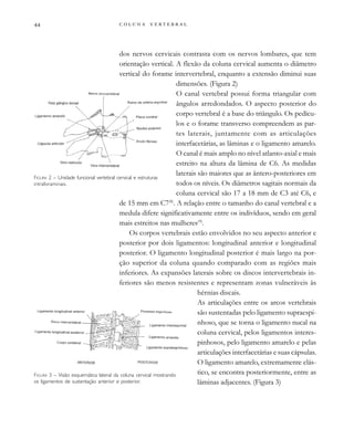         
dos nervos cervicais contrasta com os nervos lombares, que tem
orientação vertical. A flexão da coluna cervical aumenta o diâmetro
vertical do forame intervertebral, enquanto a extensão diminui suas
dimensões. (Figura 2)
O canal vertebral possui forma triangular com
ângulos arredondados. O aspecto posterior do
corpo vertebral é a base do triângulo. Os pedícu-
los e o forame transverso compreendem as par-
tes laterais, juntamente com as articulações
interfacetárias, as lâminas e o ligamento amarelo.
O canal é mais amplo no nível atlanto-axial e mais
estreito na altura da lâmina de C6. As medidas
laterais são maiores que as ântero-posteriores em
todos os níveis. Os diâmetros sagitais normais da
coluna cervical são 17 a 18 mm de C3 até C6, e
de 15 mm em C7(8)
. A relação entre o tamanho do canal vertebral e a
medula difere significativamente entre os indivíduos, sendo em geral
mais estreitos nas mulheres(9)
.
Os corpos vertebrais estão envolvidos no seu aspecto anterior e
posterior por dois ligamentos: longitudinal anterior e longitudinal
posterior. O ligamento longitudinal posterior é mais largo na por-
ção superior da coluna quando comparado com as regiões mais
inferiores. As expansões laterais sobre os discos intervertebrais in-
feriores são menos resistentes e representam zonas vulneráveis às
hérnias discais.
As articulações entre os arcos vertebrais
são sustentadas pelo ligamento supraespi-
nhoso, que se torna o ligamento nucal na
coluna cervical, pelos ligamentos interes-
pinhosos, pelo ligamento amarelo e pelas
articulações interfacetárias e suas cápsulas.
O ligamento amarelo, extremamente elás-
tico, se encontra posteriormente, entre as
lâminas adjacentes. (Figura 3)
FIGURA 2 – Unidade funcional vertebral cervical e estruturas
intraforaminais.
FIGURA 3 – Visão esquemática lateral da coluna cervical mostrando
os ligamentos de sustentação anterior e posterior.
 