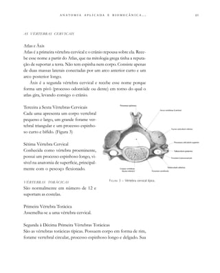 
                         . . .
AS VÉRTEBRAS CERVICAIS
Atlas e Áxis
Atlas é a primeira vértebra cervical e o crânio repousa sobre ela. Rece-
be esse nome a partir do Atlas, que na mitologia grega tinha a reputa-
ção de suportar a terra. Não tem espinha nem corpo. Consiste apenas
de duas massas laterais conectadas por um arco anterior curto e um
arco posterior longo.
Áxis é a segunda vértebra cervical e recebe esse nome porque
forma um pivô (processo odontóide ou dente) em torno do qual o
atlas gira, levando consigo o crânio.
Terceira a Sexta Vértebras Cervicais
Cada uma apresenta um corpo vertebral
pequeno e largo, um grande forame ver-
tebral triangular e um processo espinho-
so curto e bífido. (Figura 3)
Sétima Vértebra Cervical
Conhecida como vértebra proeminente,
possui um processo espinhoso longo, vi-
sível na anatomia de superfície, principal-
mente com o pescoço flexionado.
VÉRTEBRAS TORÁCICAS
São normalmente em número de 12 e
suportam as costelas.
Primeira Vértebra Torácica
Assemelha-se a uma vértebra cervical.
Segunda à Décima Primeira Vértebras Torácicas
São as vértebras torácicas típicas. Possuem corpo em forma de rim,
forame vertebral circular, processo espinhoso longo e delgado. Sua
FIGURA 3 – Vértebra cervical típica.
 