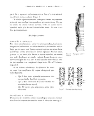
                         . . .
partir daí, o segmento medular encontra-se duas vértebras acima de
sua vértebra correspondente. (Figura 8)
Os nervos espinhais cervicais saem pelo forame intervertebral
acima de sua vértebra correspondente, com exceção de C8, que
sai abaixo da sétima vértebra cervical. Todos os outros nervos
espinhais saem pelo forame intervertebral abaixo de suas vérte-
bras ipsissegmentares.
As Raízes Nervosas
FORMAÇÃO E ANOMALIAS
Nos sulcos lateral anterior e lateral posterior da medula, fazem cone-
xão pequenos filamentos nervosos denominados filamentos radicu-
lares, que se unem para formar, respectivamente, as raízes dorsal
(sensitiva) e ventral (motora) dos nervos espinhais. As duas raízes,
por sua vez, se unem para formar os nervos espinhais, ocorrendo
essa união distalmente ao gânglio espinhal da raiz dorsal. As raízes
nervosas ocupam de 7% a 22% da área seccional transversa do fora-
me intervertebral, com exceção de L5, que requer 25% a 30% da área
disponível.
Há um número considerável de anomalias das raízes
nervosas. Uma classificação útil propõe três tipos de ano-
malia (Figura 9):
– Tipo I: duas raízes separadas emanam de uma
mesma bainha dural (raiz conjunta).
– Tipo II: duas raízes saem da coluna vertebral por
um único forame neural.
– Tipo III: ocorre uma anastomose entre raízes
adjacentes.
DERMÁTOMOS E MIÓTOMOS
Dermátomo é o território cutâneo inervado por uma única raiz ner-
vosa dorsal. O dermátomo recebe o nome da raiz que o inerva, p.ex.,
FIGURA 9 – Anomalias das raízes neurais.
FIGURA 8 – Topografia vertebro-
medular.
 