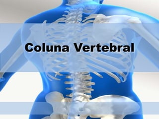 Coluna Vertebral 
 