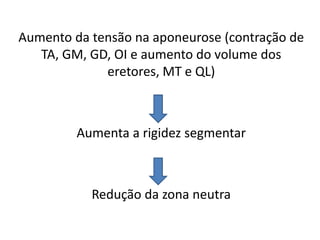 Aumento da tensão na aponeurose (contração de 
TA, GM, GD, OI e aumento do volume dos 
eretores, MT e QL) 
Aumenta a rigidez segmentar 
Redução da zona neutra 
 