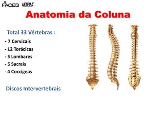 Anatomia da Coluna 
Total 33 Vértebras : 
- 7 Cervicais 
- 12 Torácicas 
- 5 Lombares 
- 5 Sacrais 
- 4 Coccígeas 
Discos Intervertebrais 
 