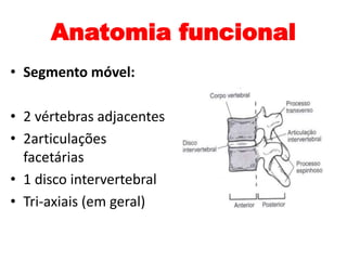 Anatomia funcional 
• Segmento móvel: 
• 2 vértebras adjacentes 
• 2articulações 
facetárias 
• 1 disco intervertebral 
• Tri-axiais (em geral) 
 