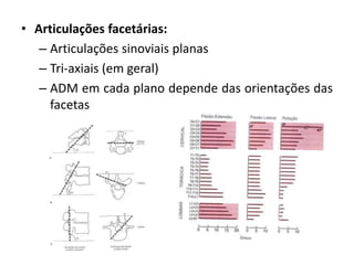 • Articulações facetárias: 
– Articulações sinoviais planas 
– Tri-axiais (em geral) 
– ADM em cada plano depende das orientações das 
facetas 
 