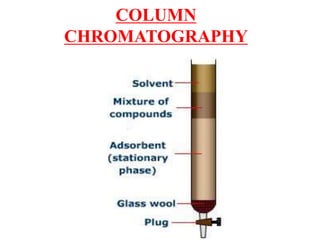 Column Chromatography Mobile Phase