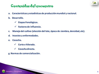 Estadísticas de Producción
Fuente: USDA. 2016
Algodón
7%
Palma
3%
Mani
8%
Colza
13%
Soja
61%
Girasol
8%
Participación Mundial (campaña 2016-2017)
3
9,6
6,6
3,6
2,2
Union
Europea
China
Canada
India
Producción mundial de aceite de Colza (mill ton)
2016-17
Cereales y Oleaginosas
 