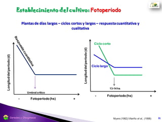 Temperatura
Vernalizacion
Fotoperiodo
Factores que influyen en el desarrollo
BVF
31Cereales y Oleaginosas
 