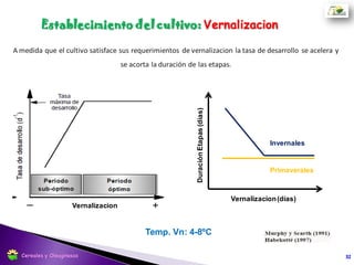 32Cereales y Oleaginosas
 