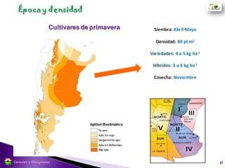  Mediana a alta fertilidad.
 Suelos francos con buen drenaje.
 Libre de malezas crucíferas.
 Barbechos largos 45 - 60 días (para llegar a la siembra con fertilidad
adecuada y buena disponibilidad hidrica).
 Cama de siembra bien mullida.
37
Elección del lote
Cereales y Oleaginosas
 