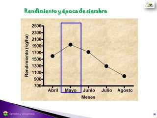 Porcentaje de plantas logradas a 40 días desde la siembra
Fuente: Chacra Experimental Barrow
Profundidad (cm) % de plantas logradas
1 85
2 100
3 95
4 60
5 50
6 35
7 10
8 10
10 0
38
Profundidad de siembra
Cereales y Oleaginosas
 