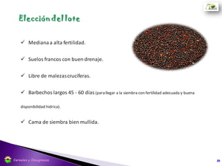 Objetivo: lograr rápida implantación
 Temperatura del Suelo: 8-10ºC
 Prof. Siembra: 2 cm
 Distancia entre surcos: 17,5 – 21 cm.
 Cama de siembra firme y pareja
 Densidad: 4-6 kg/ha / 80-100 pl/m2
39Cereales y Oleaginosas
 