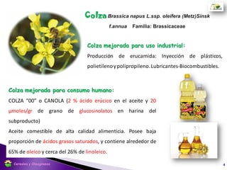 Fuente: USDA. 2017
Producción Argentina 2017/18: 67.381 ton
Estadísticas de Producción
4
21,9
19,9
13,1
6,8
Union Europea
Canada
China
India
Producción mundial de grano de Colza (mill ton) 2017-18
Cereales y Oleaginosas
 