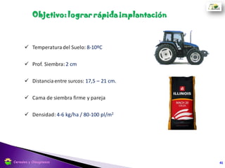  El abresurco del tipo doble disco iguales o descentrados es preferible al
monodisco.
 No se debe superar
los 7 km/h de velocidad
de siembra.
41
Siembra
Cereales y Oleaginosas
 