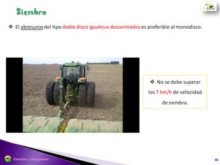 Polilla (Palomita) de los coles Plutella xylostella
 Huevos amarillos a verde pálido
que eclosionan a los 5-6 días.
 La larva es muy activa y no mide
mas de 12 mm.
 Empupa en las hojas y en 8 días
se desarrolla el adulto, estos viven
entre 12-15 días y no pueden volar
grandes distancias ni a gran altura.
 Monitorear a fin de roseta.
43Cereales y Oleaginosas
 