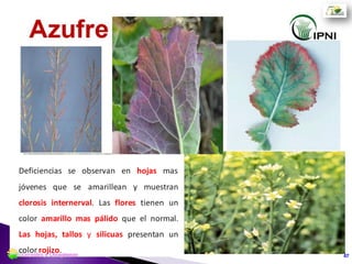 G3 G4 G5
Corte e hilerado
47Cereales y Oleaginosas
 