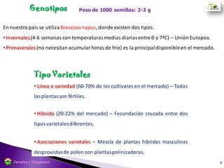 Estadísticas de Producción
Superficie sembrada 2011/16: 57.000 has
Promedio de rendimiento 2011/16: 17,2 qq ha-1
Fuente: MINAGRI. 2017 5
Buenos Aires
41%
Cordoba
7%
Santa Fe
12%
Entre Rios
37%
Resto
3%
Participacion provincial (has) promedio (2011/16)
Cereales y Oleaginosas
 