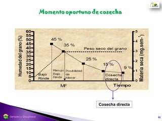 61Cereales y Oleaginosas
 