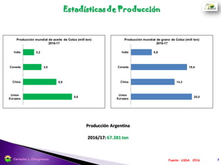 Colza mejorada para uso industrial:
Producción de erucamida: Inyección de plásticos, polietileno y
polipropileno. Lubricantes-Biocombustibles.
Colza
Brassica napus L.ssp. oleifera (Metz)Sinsk f.annua
Familia: Brassicaceae
7
Colza mejorada para consumo humano:
COLZA “00” o CANOLA (2 % ácido erúcico en el aceite y
20 μmoles/gr de grano de glucosinolatos en harina del
subproducto)
Aceite comestible de alta calidad alimenticia. Posee baja
proporción de ácidos grasos saturados, y contiene
alrededor de 65% de oleico y cerca del 26% de linoleico.
Cereales y Oleaginosas
 