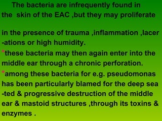 The bacteria are infrequently found in  the  skin of the EAC ,but they may proliferate  in the presence of trauma ,inflammation ,lacer  -ations or high humidity. * these bacteria may then again enter into the  middle ear through a chronic perforation. * among these bacteria for e.g. pseudomonas  has been particularly blamed for the deep sea  -ted & progressive destruction of the middle  ear & mastoid structures ,through its toxins &  enzymes . 