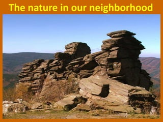 The nature in our neighborhood