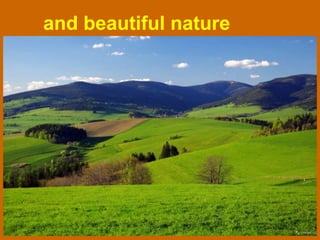 and beautiful nature