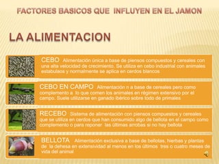 CEBO      Alimentación única a base de piensos compuestos y cereales con
una alta velocidad de crecimiento. Se utiliza en cebo industrial con animales
estabulaos y normalmente se aplica en cerdos blancos


CEBO EN CAMPO             Alimentación n a base de cereales pero como
complemento a lo que comen los animales en régimen extensivo por el
campo. Suele utilizarse en ganado ibérico sobre todo de primales


RECEBO         Sistema de alimentación con piensos compuestos y cereales
que se utiliza en cerdos que han consumido algo de bellota en el campo como
complemento o para reponer las últimas arrobas si no hay bellota


BELLOTA         Alimentación exclusiva a base de bellotas, hierbas y plantas
de la dehesa en extensividad al menos en los últimos tres o cuatro meses de
vida del animal
 
